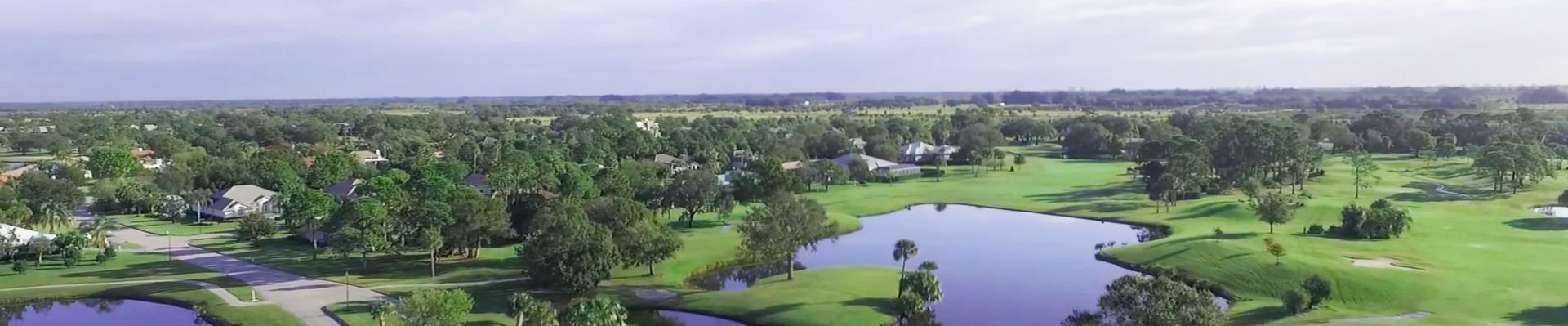 Aerial view of a lush green landscape with houses, trees, and ponds under a cloudy sky.