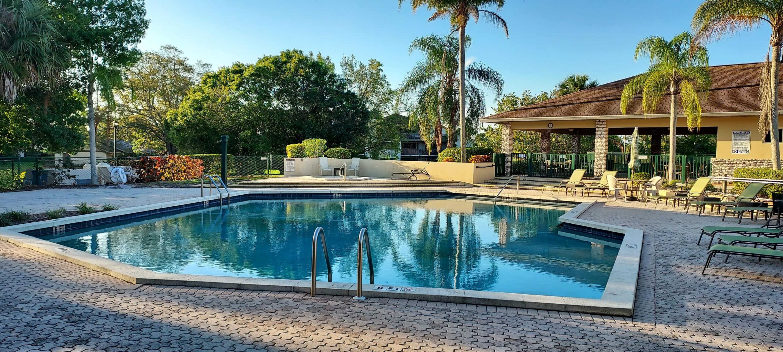 A clear swimming pool surrounded by lounge chairs and palm trees under a blue sky.